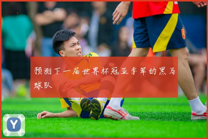 预测下一届世界杯冠亚季军的黑马球队